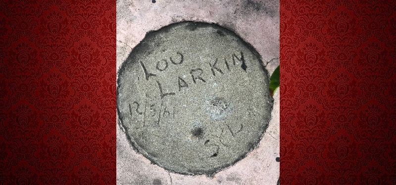 Lou Larkin